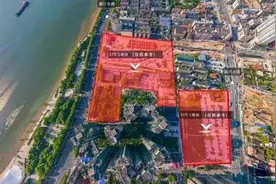“长沙新地王”拍出24天后宣布重拍：竞价过程出现系统故障图片