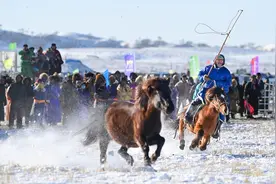 锡林郭勒：冬日驯马 激情雪原#图片