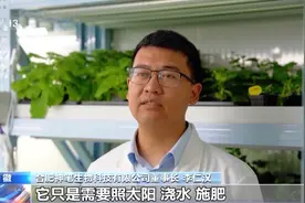 这不是科幻片！秸秆做成服装 植物也能当“小夜灯”图片