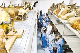 重庆自然博物馆首次开放珍品库房图片