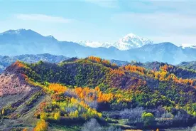 在高质量发展道路上破浪前行——渭源县推进经济社会高质量发展综述图片