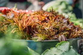 静宝聊天室丨春菜陆续上新，这些“春天的味道”你吃了没？图片