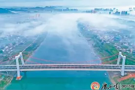 广西第一座公路钢箱梁悬索桥通车！图片