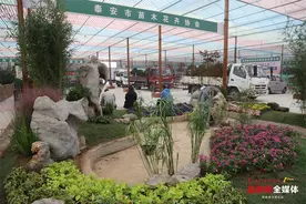 五大精彩活动、十大特色展区 第十九届泰山苗木花卉交易会10月12日开幕图片