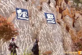 西山公园徒步线路“上新”！月季花隧道起点在……图片