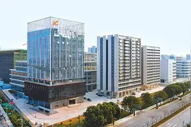 多地华商展望2025——新的一年，紧抓中国开放发展新机遇（侨界关注）图片