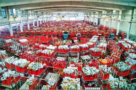 360集团创始人周鸿祎再访斗南 体验花卉拍卖交易的“速度与激情”图片