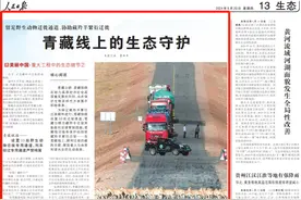 人民日报看青海 | 青藏线上的生态守护图片
