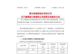 违规增持千股，赛力斯董事致歉！去年三季度以来股价几乎翻倍图片