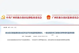 自治区纪委监委驻自治区司法厅纪检监察组原组长、一级巡视员何江接受纪律审查和监察调查图片