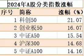 2024年基金业绩TOP10：A股股基领跑，科创基金占据C位图片