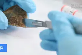 揭秘海昏侯刘贺主棺玉璧修复图片
