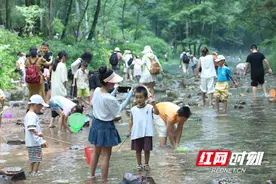 张家界：税务助力“夏凉”经济热起来图片