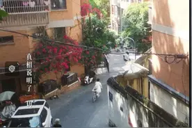 开播就爆火！这部电视剧在福州取景！网友发现……图片