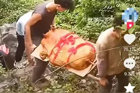 太公你在哪！翻山越岭硬核祭祖，清明是属于华南F3的“铁人三项”图片
