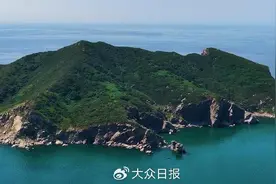 文化中国行｜大连蛇岛上有近2万条毒蛇，鸟儿为何还要到这里停栖图片