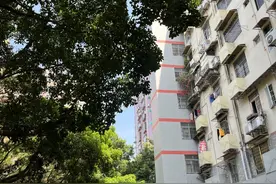 更换住宅老旧电梯，每台补贴15万元，申报工作指引来啦！图片