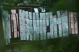 “蹲一个阳光开朗宝藏男孩”！成都人连相亲角都拉满松弛感图片