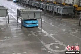 探访亚洲单体最大实木备料工厂：“造家具”也能零部件化生产图片