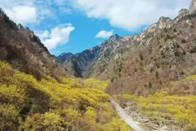 南阳赏花季来啦~各地观赏指南请收好图片