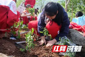 慈利县第一完全小学：乐享农耕之趣 共赴春天之约图片