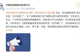 广州辟谣蛇类可食用图片