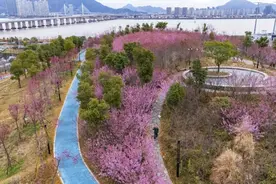 飙升至30℃、再狂跌10℃+！接下来，浙江天气将坐“过山车”图片