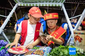 中医夜市火爆出圈！养生达人齐聚海南省中医药文化公益市集图片