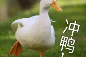 注意！乘坐高铁这些东西不能带！图片