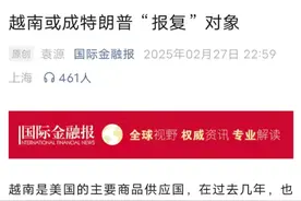 “关税劫”下，越南能撑起“小单快反”的出海梦吗？图片