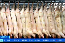瑞典出现非洲猪瘟病例，多国禁止进口瑞典猪肉图片