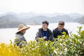 增强管党治党的精准性、实效性图片