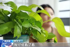 网购书籍价格超低 到手发现疑似盗版 低价书到底哪来的？图片
