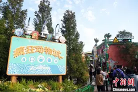 多图！全球首个“疯狂动物城”主题园区即将登陆上海迪士尼图片