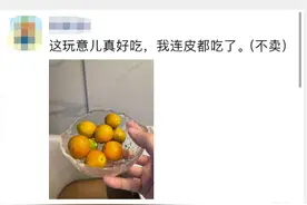 “要不要吃皮？”昨晚这个热搜，网友们都快吵起来了图片