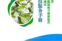 霜冻来袭！农业科技如何应对低温寒潮危害？这份技术防御指南请查收→图片