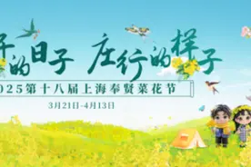 直升飞机体验＋春日狂欢！2025年奉贤菜花节剧透图片