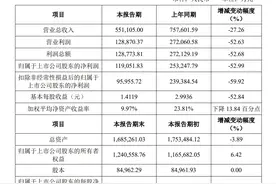 V观财报｜紫光国微2024年净利腰斩：下游需求不足，出货量减少图片