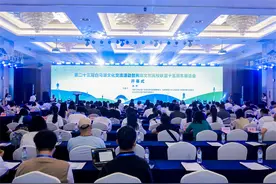 两岸文创领域翘楚在杭共话文化产业高质量发展图片