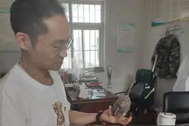猫头鹰幼崽“落难”  示范区农综办暖心救助图片