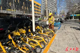 樱花季 越江湖｜汉马赛道旁划“分色停车线”，共享单车“对色入座”图片