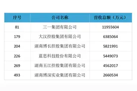 长沙6家企业上榜2024中国民营企业500强，它们是……图片