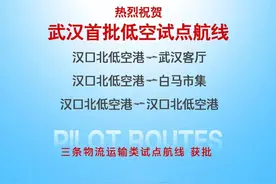 武汉首批！黄陂获批三条低空试点航线图片