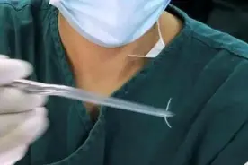 吃鱼卡刺？“无刺草鱼”来了，卡刺可能要解决了图片