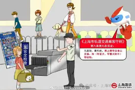 该如何对待导盲犬图片