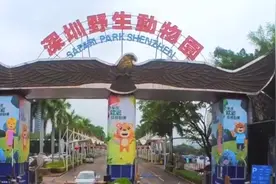 深圳动物园被指成人票太贵！官方称“属中等水平”引网友吐槽图片