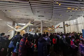 在超级热门的自然博物馆里寻找曾经的“老自博”图片