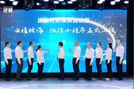 清远首个！连山“云植林海”微信小程序上线，动动手指可植树、认养树木图片