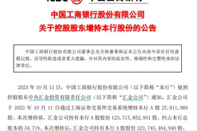 “国家队”出手！中央汇金公司增持四大行，什么信号？图片