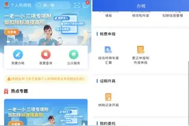 哪能办丨个人所得税纳税记录怎么办？图片